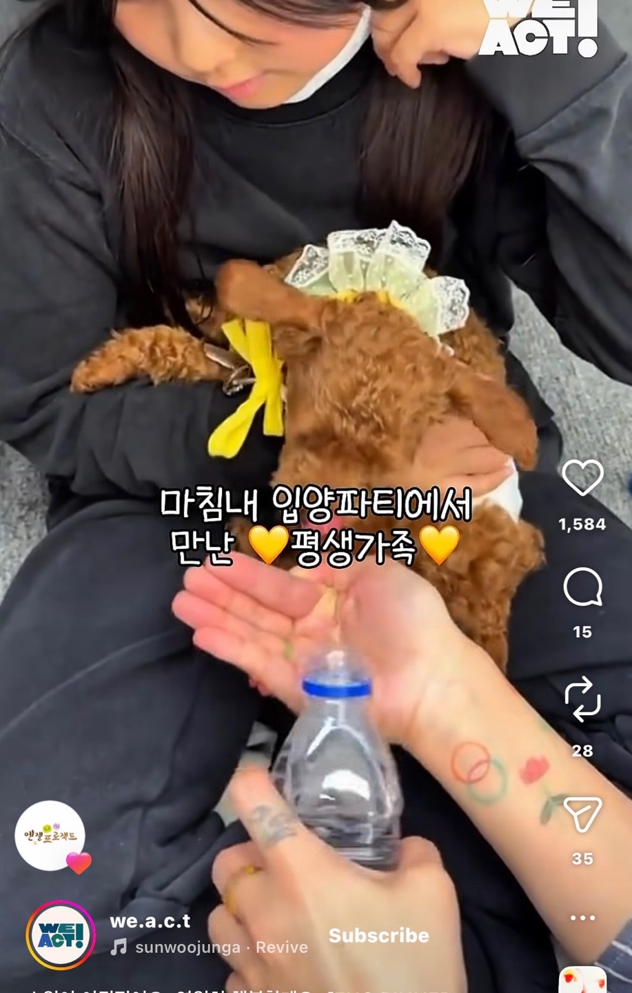 상세 사진 11