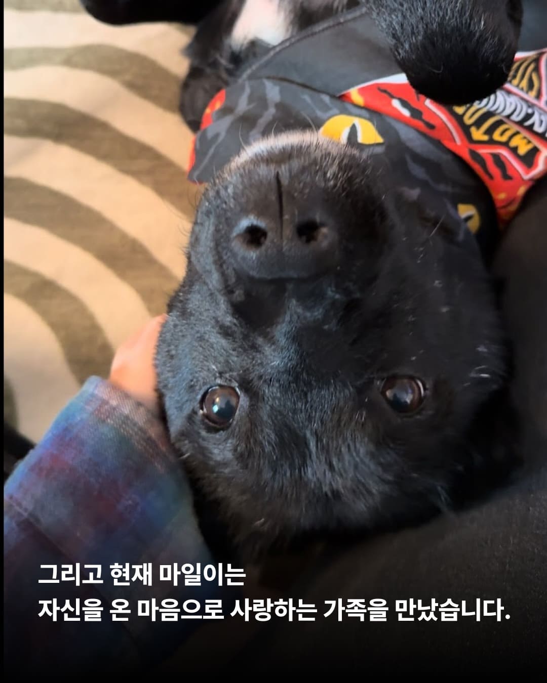 상세 사진 7