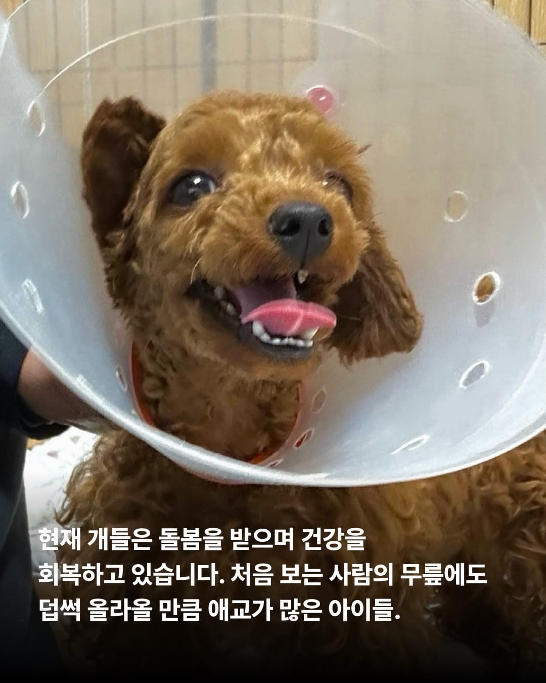 상세 사진 6