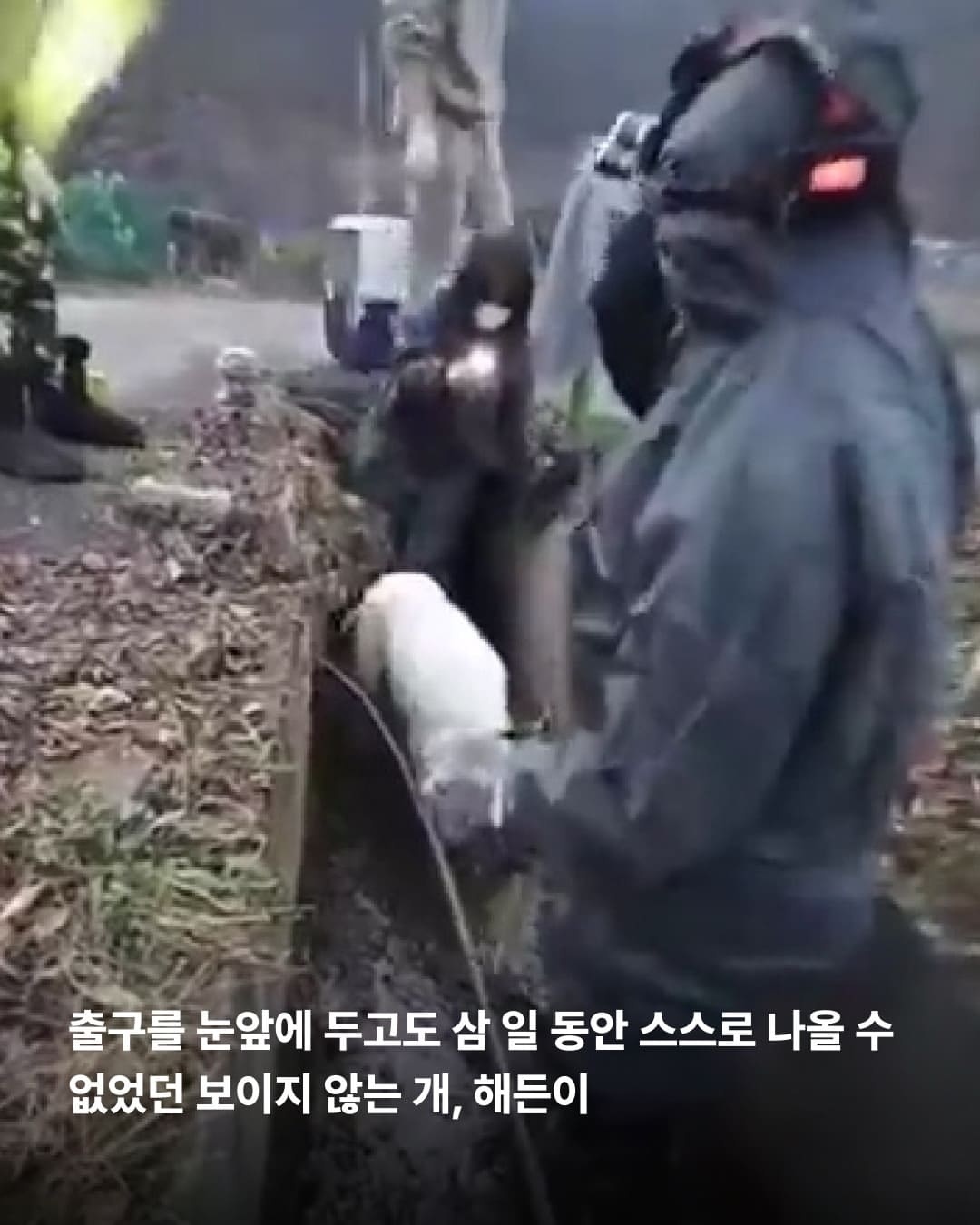 상세 사진 7