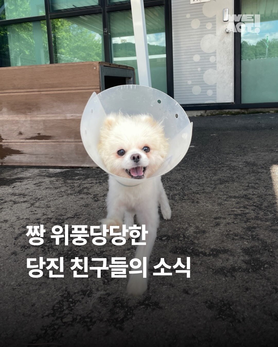 상세 사진 1