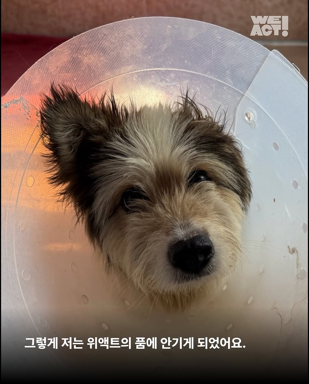 상세 사진 6