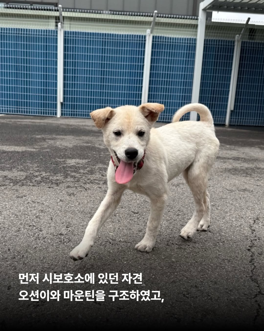 상세 사진 5