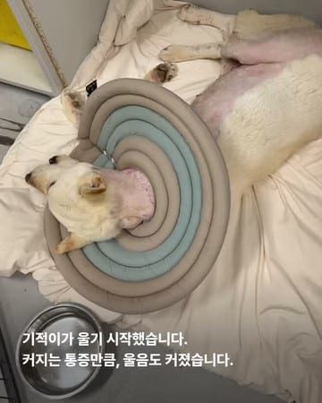 상세 사진 3