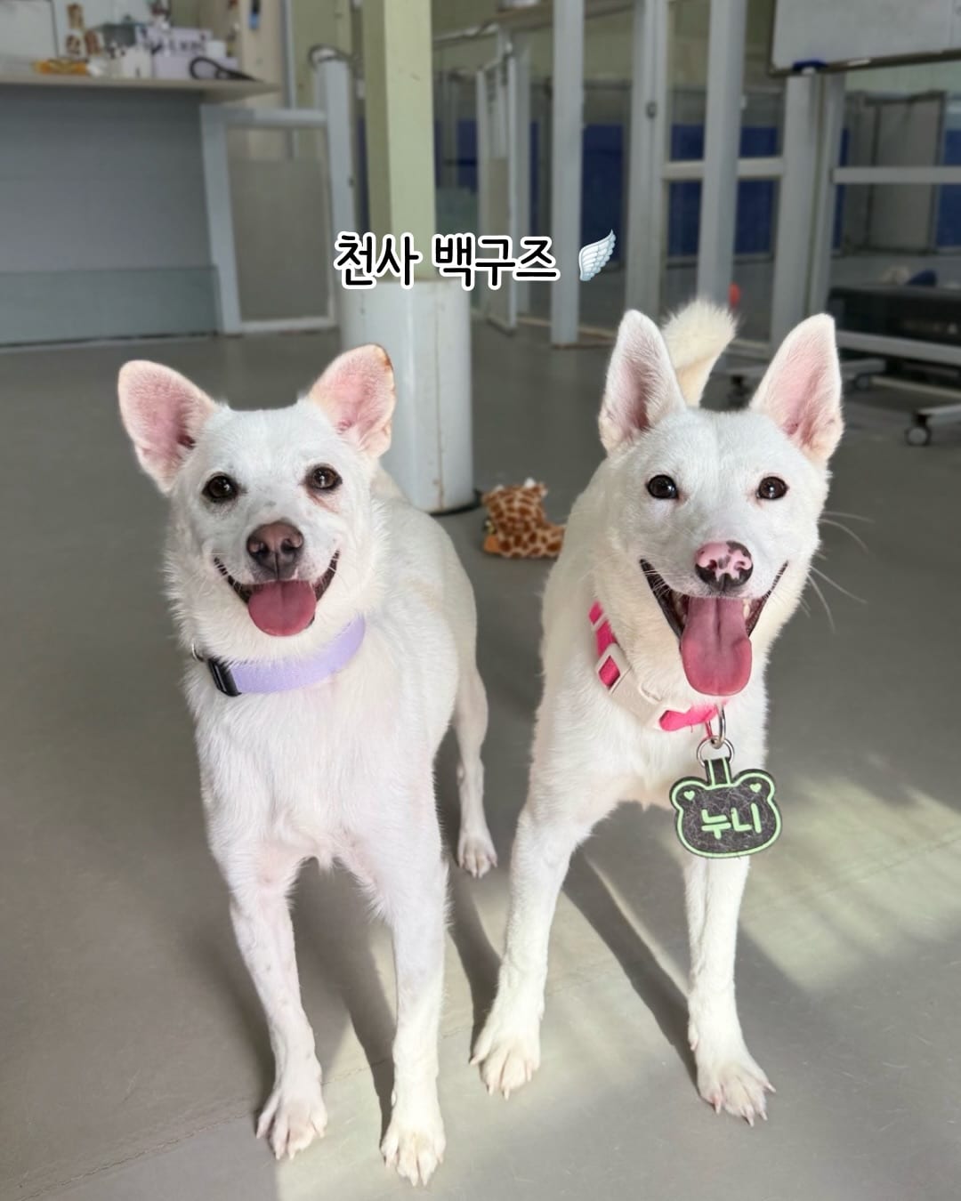상세 사진 18
