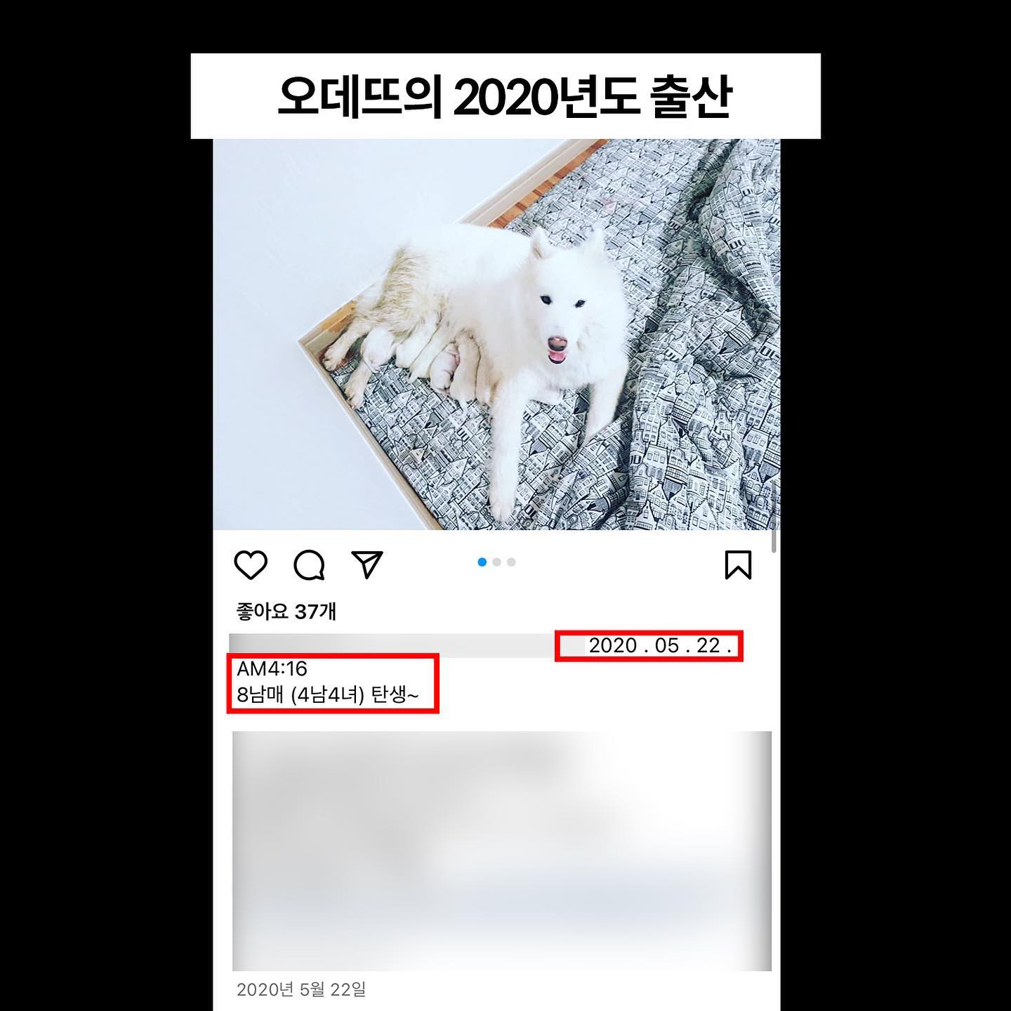 상세 사진 6