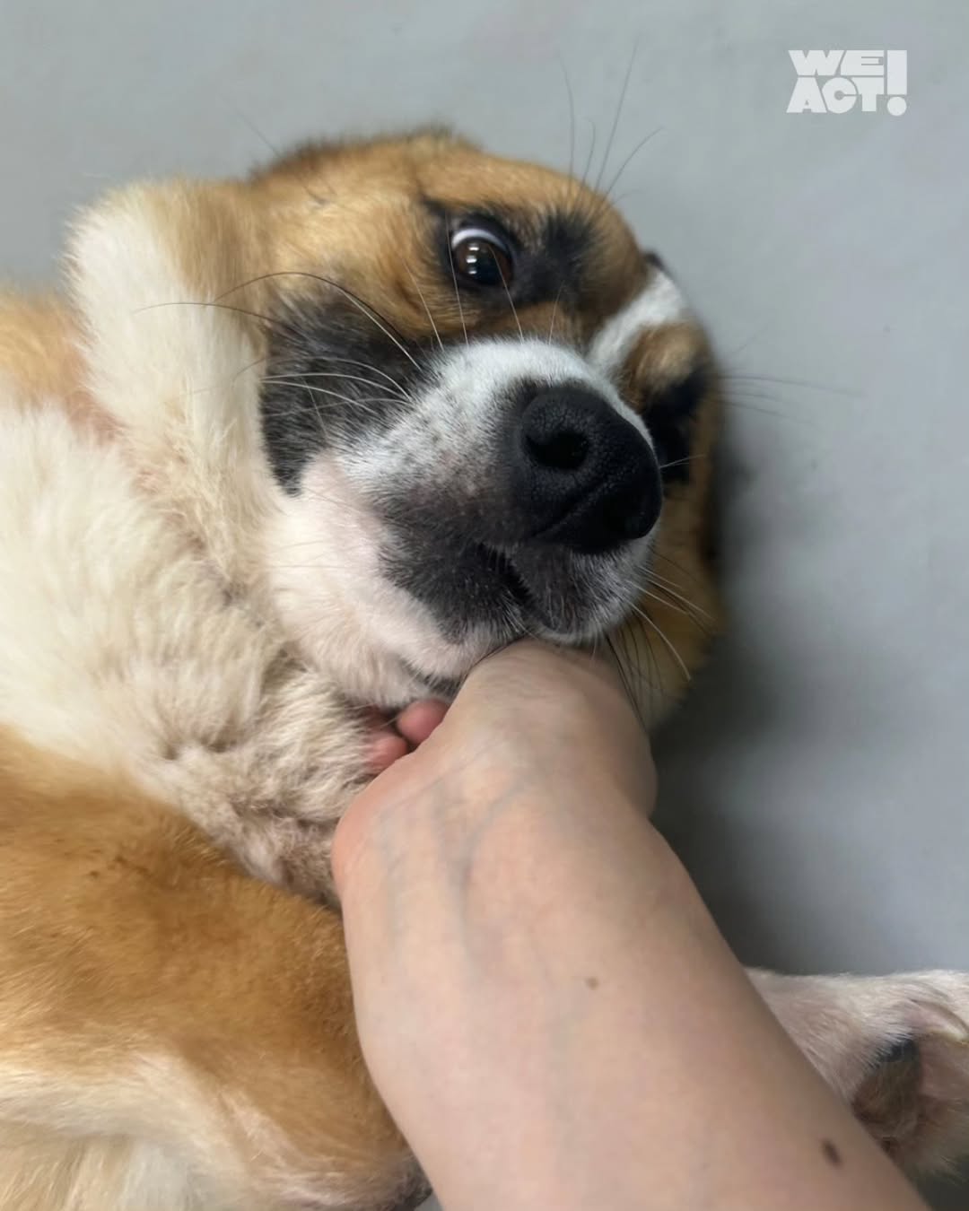 상세 사진 6