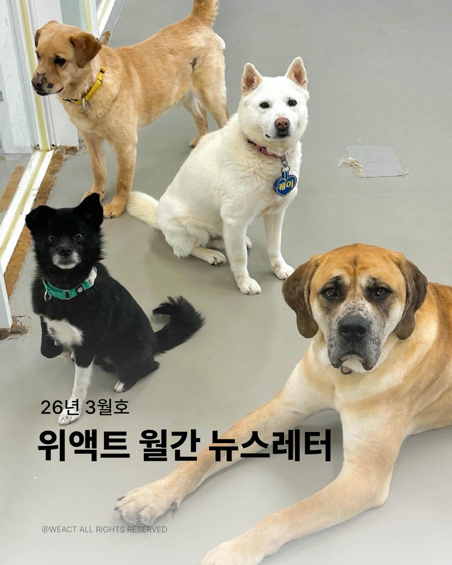 상세 사진 1