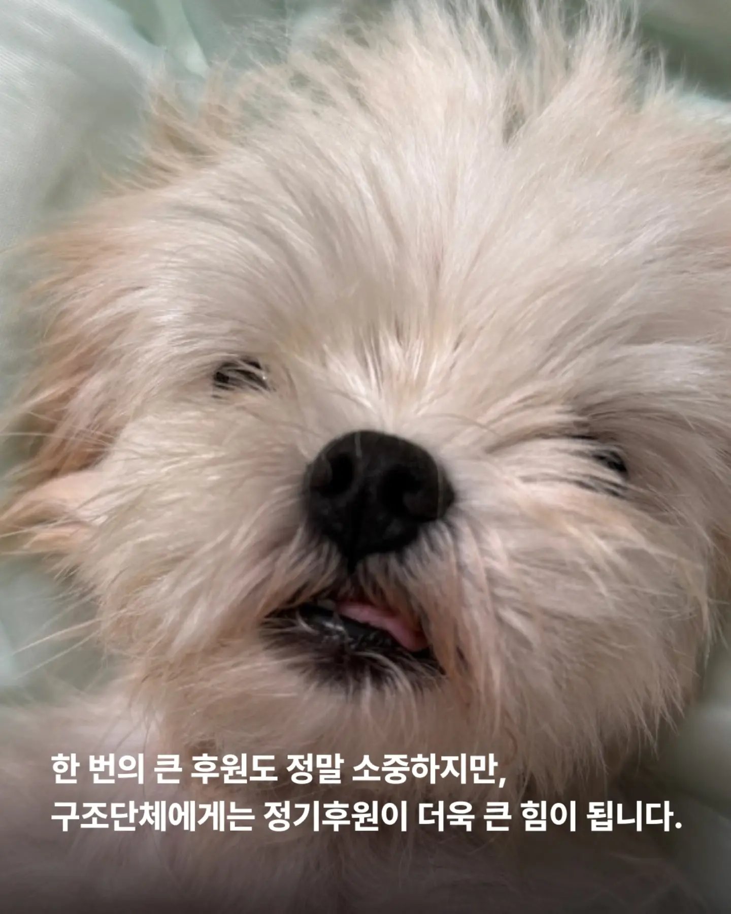 상세 사진 4