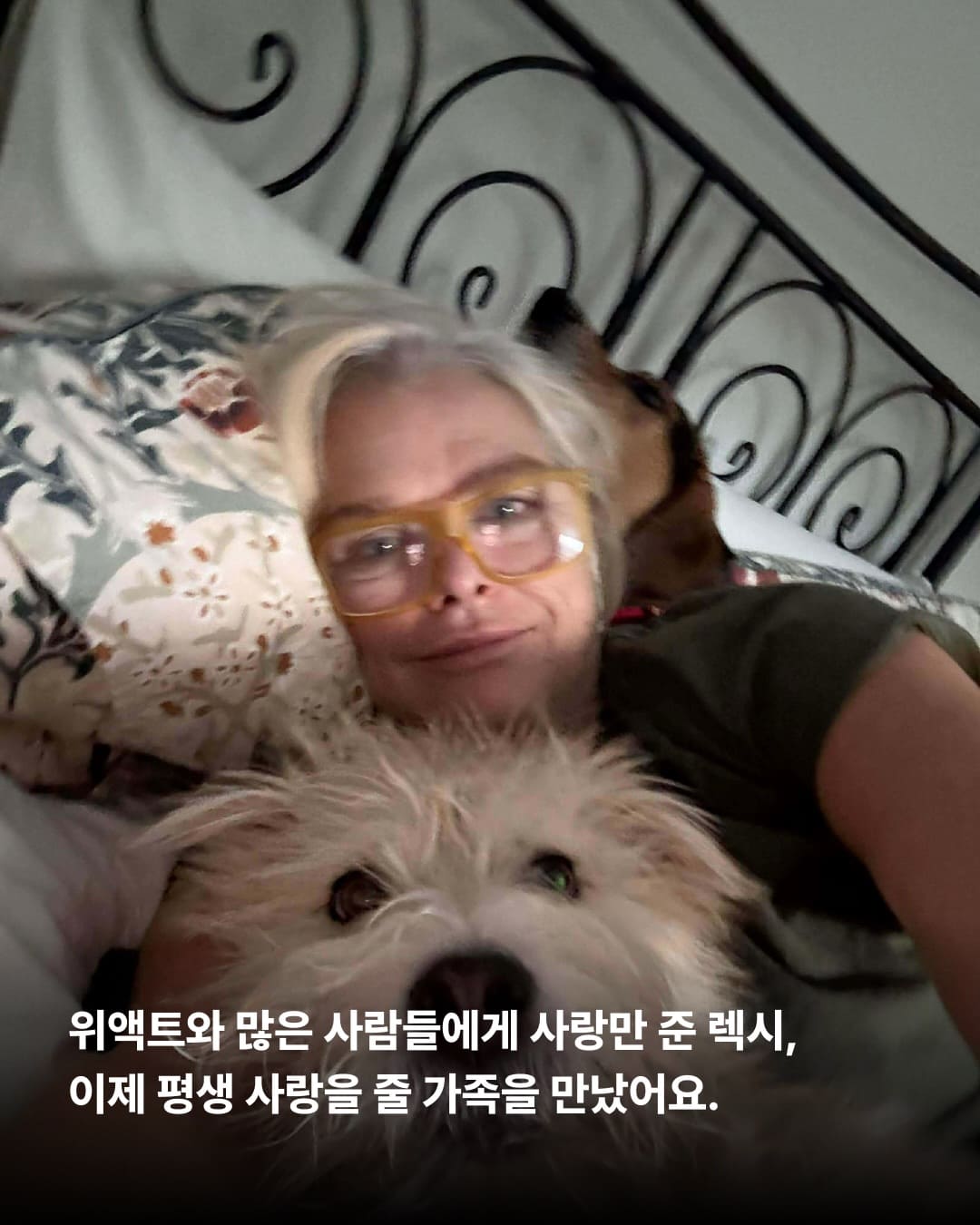 상세 사진 4