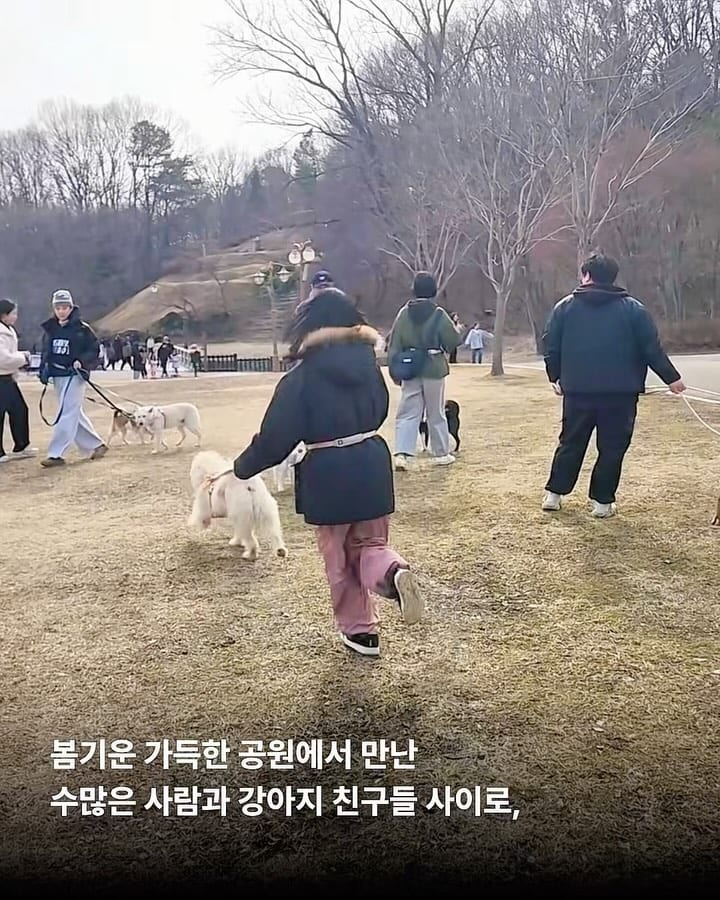 상세 사진 4