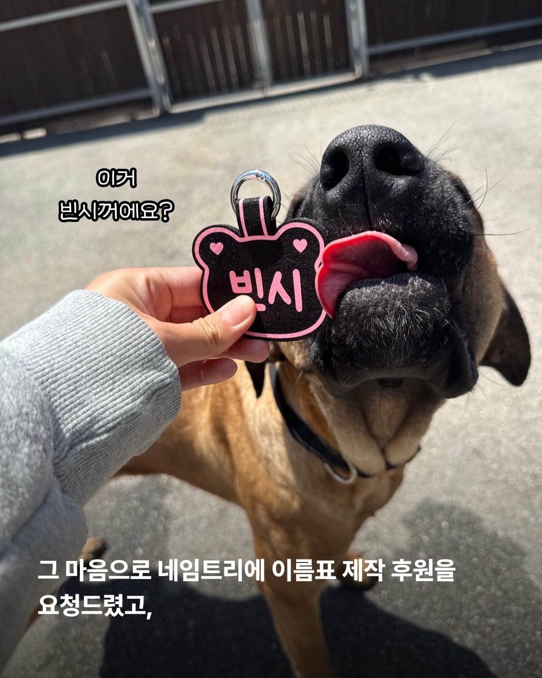 상세 사진 6