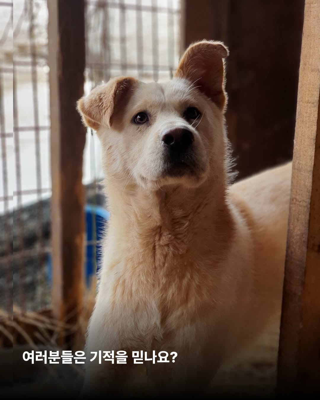 상세 사진 2