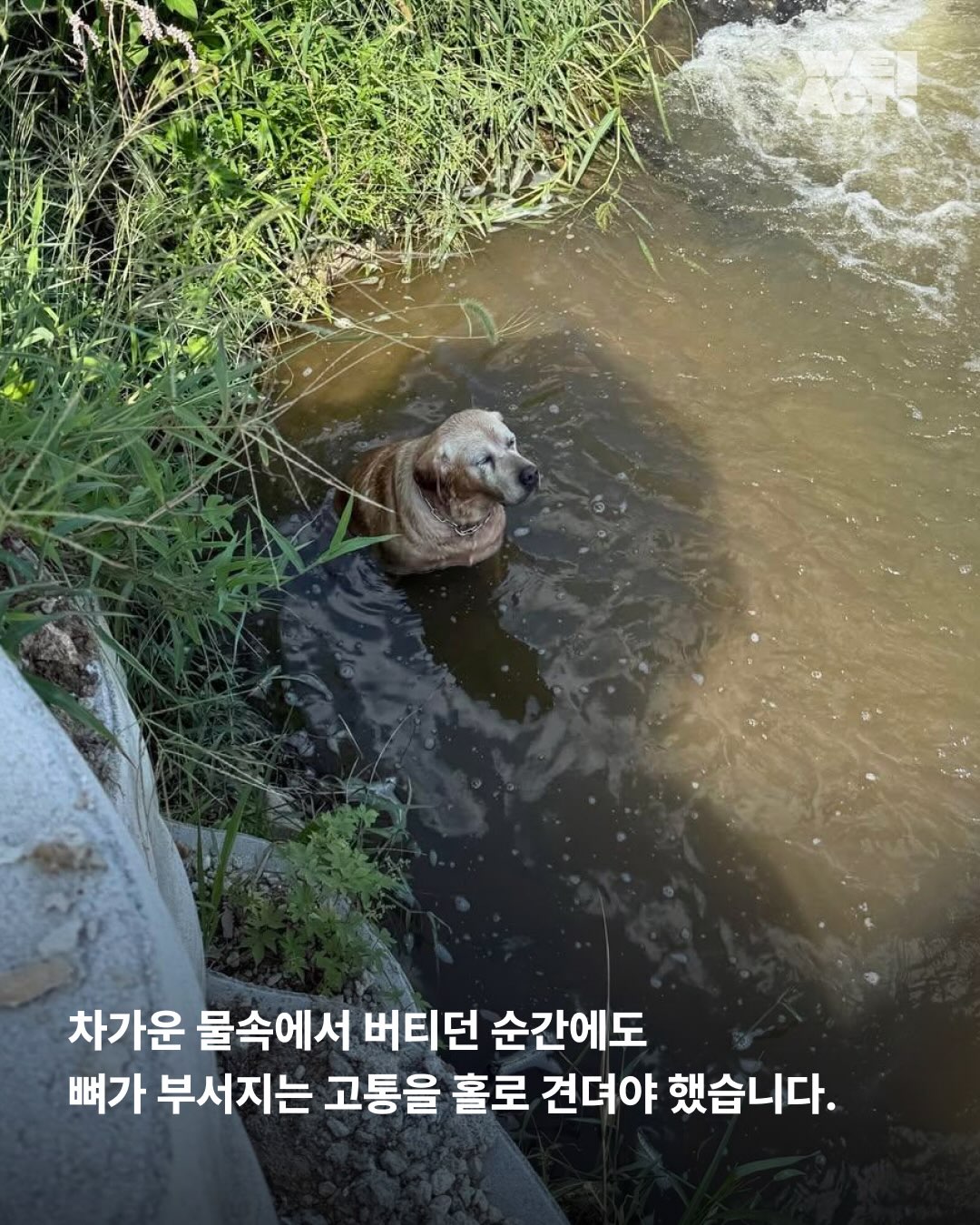 상세 사진 2