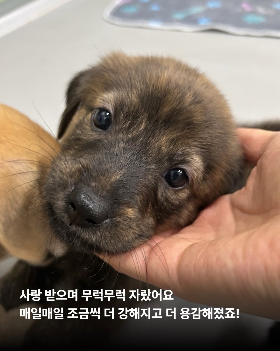 상세 사진 5