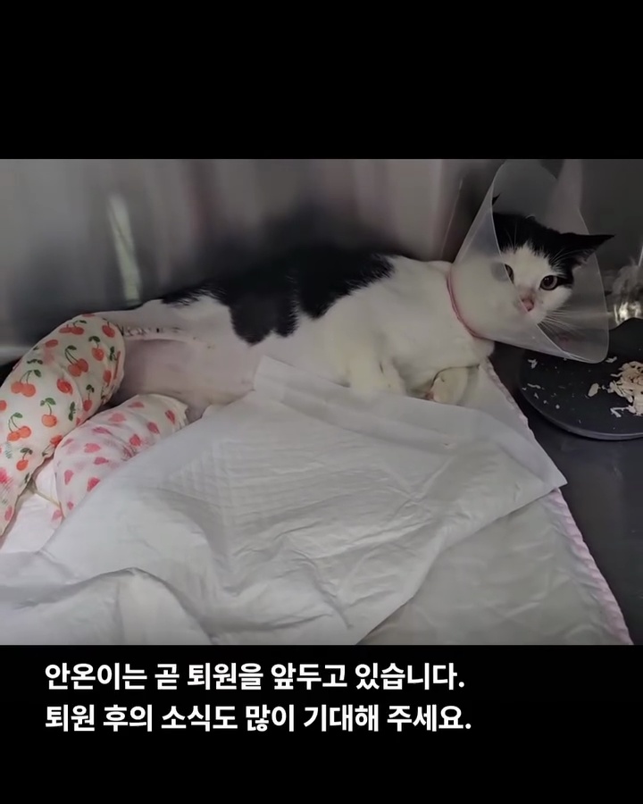 상세 사진 6