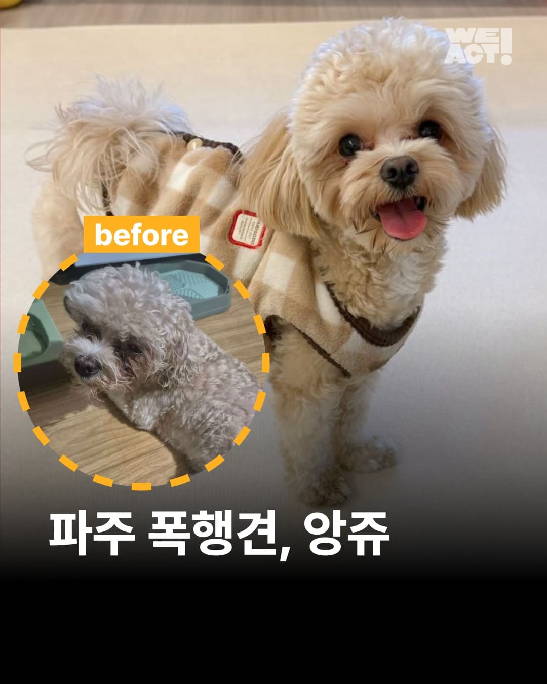 상세 사진 1