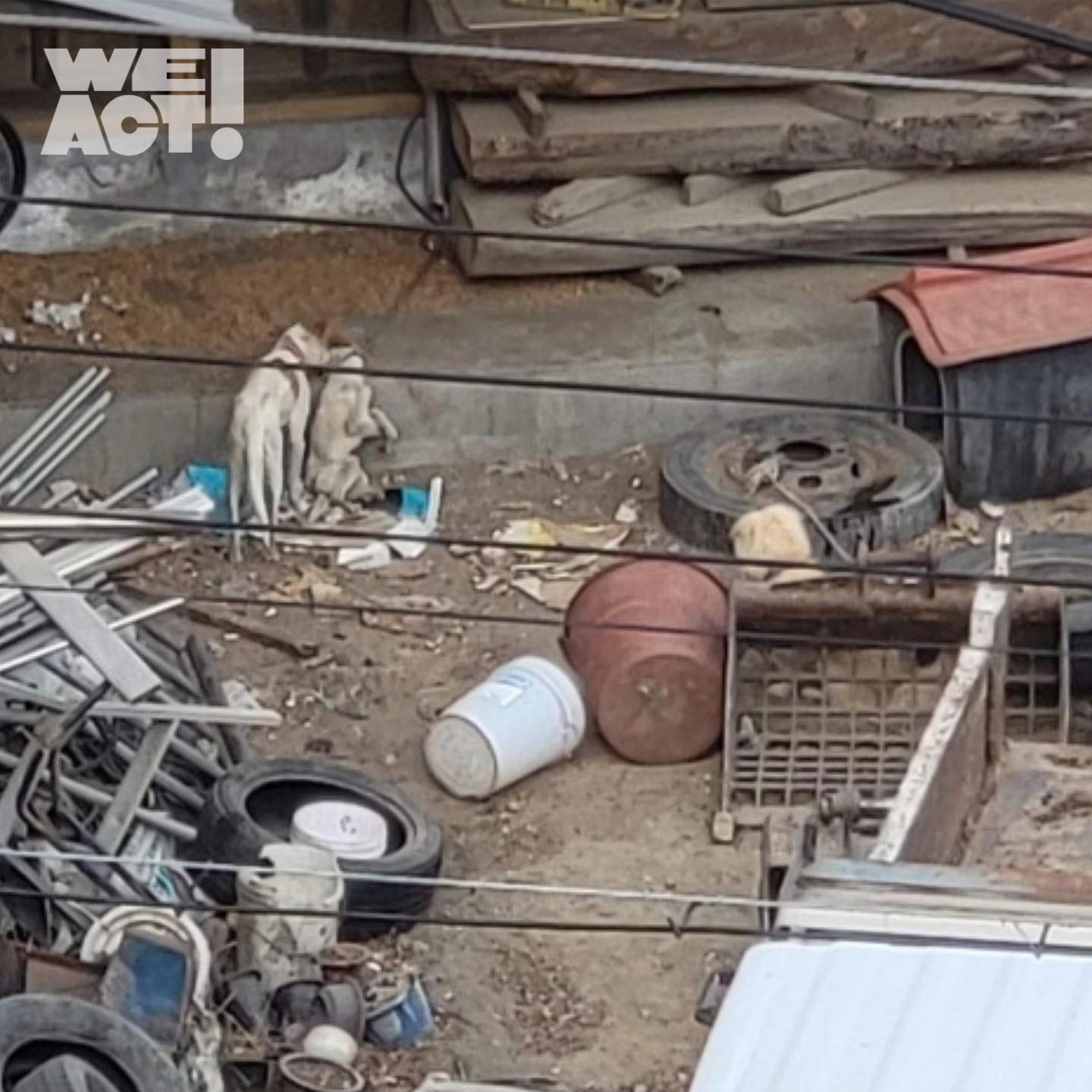 상세 사진 3