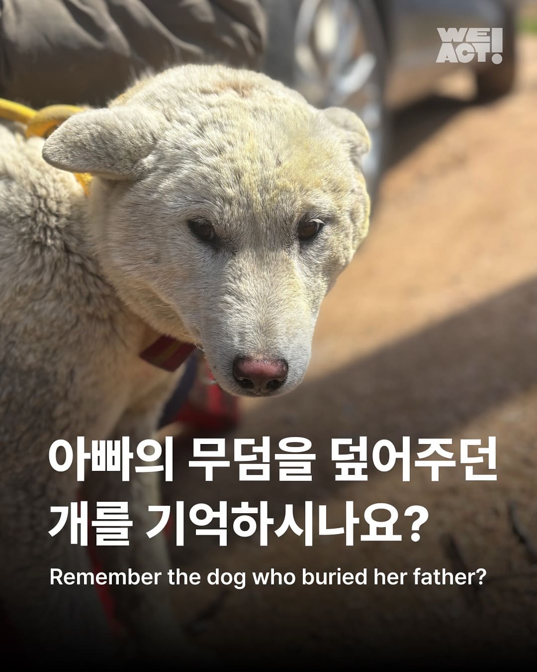 상세 사진 1