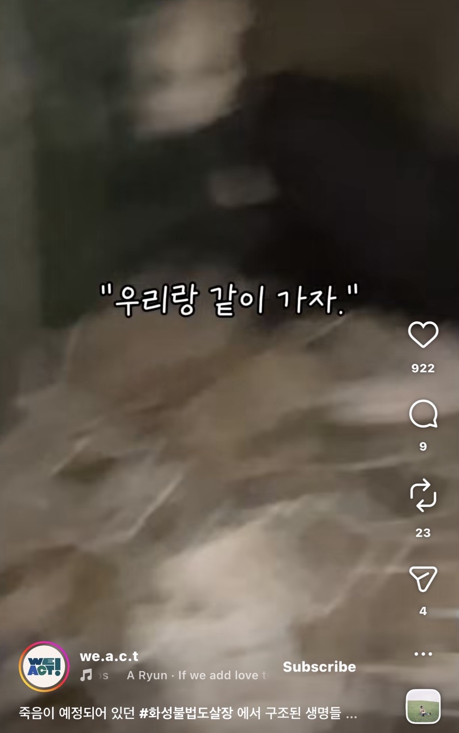 상세 사진 6