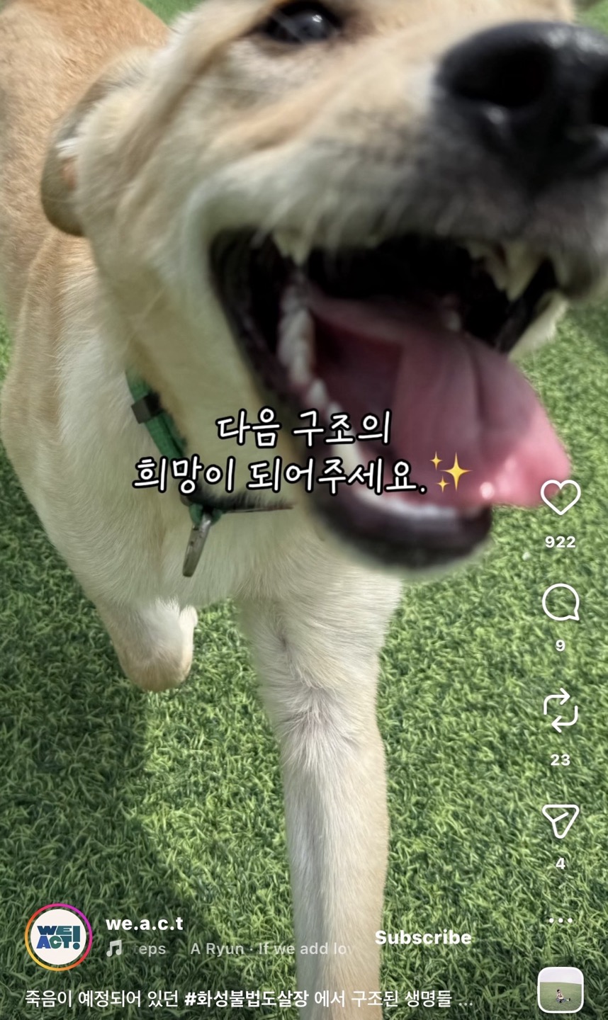 상세 사진 15