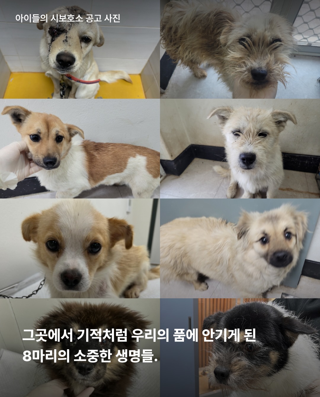 상세 사진 3