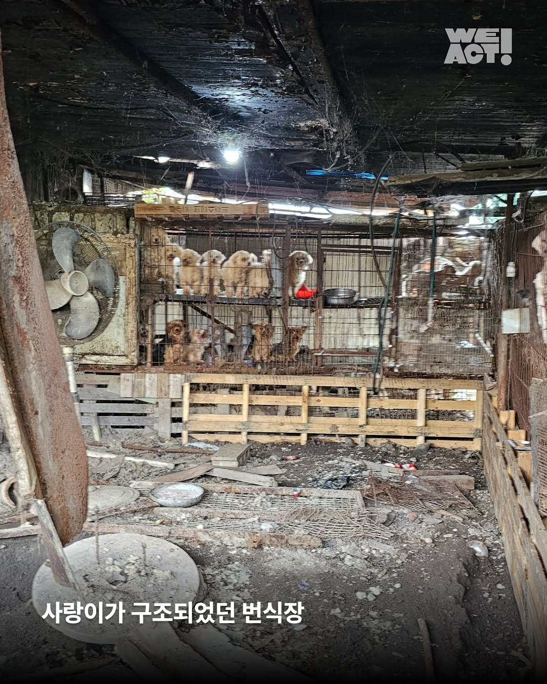 상세 사진 2