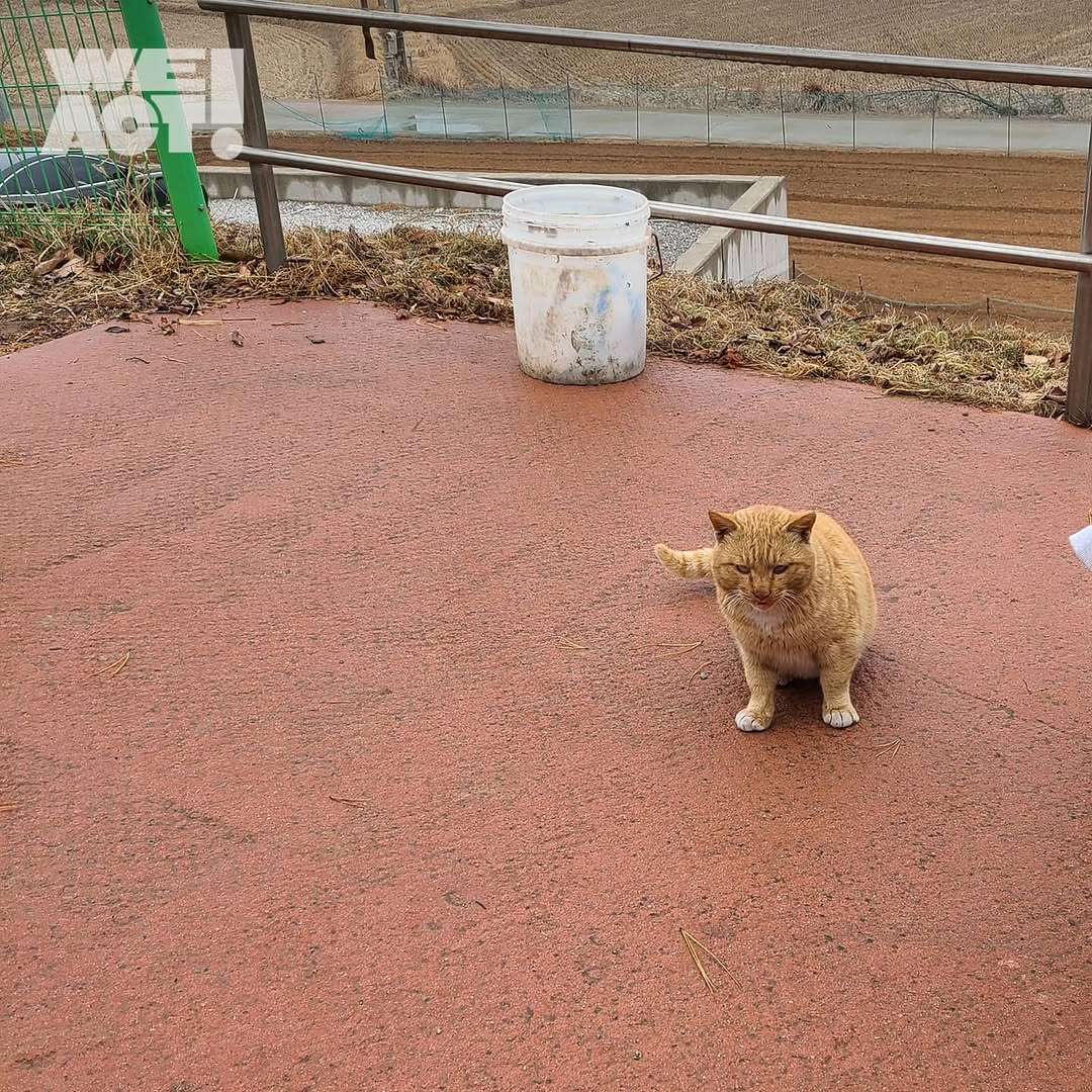 상세 사진 6