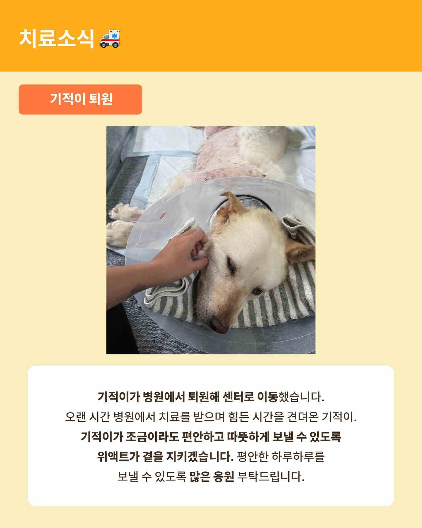 상세 사진 8