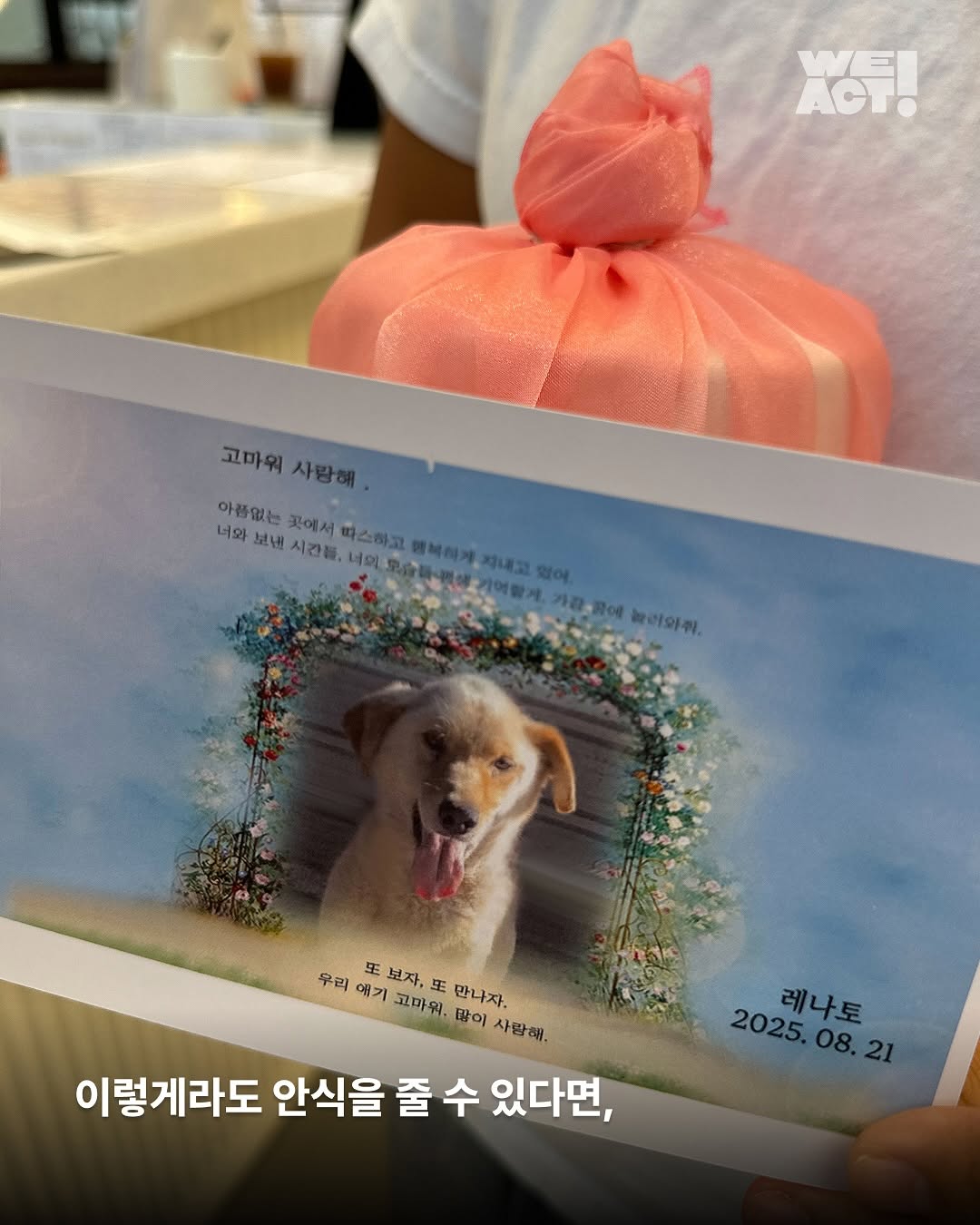 상세 사진 5