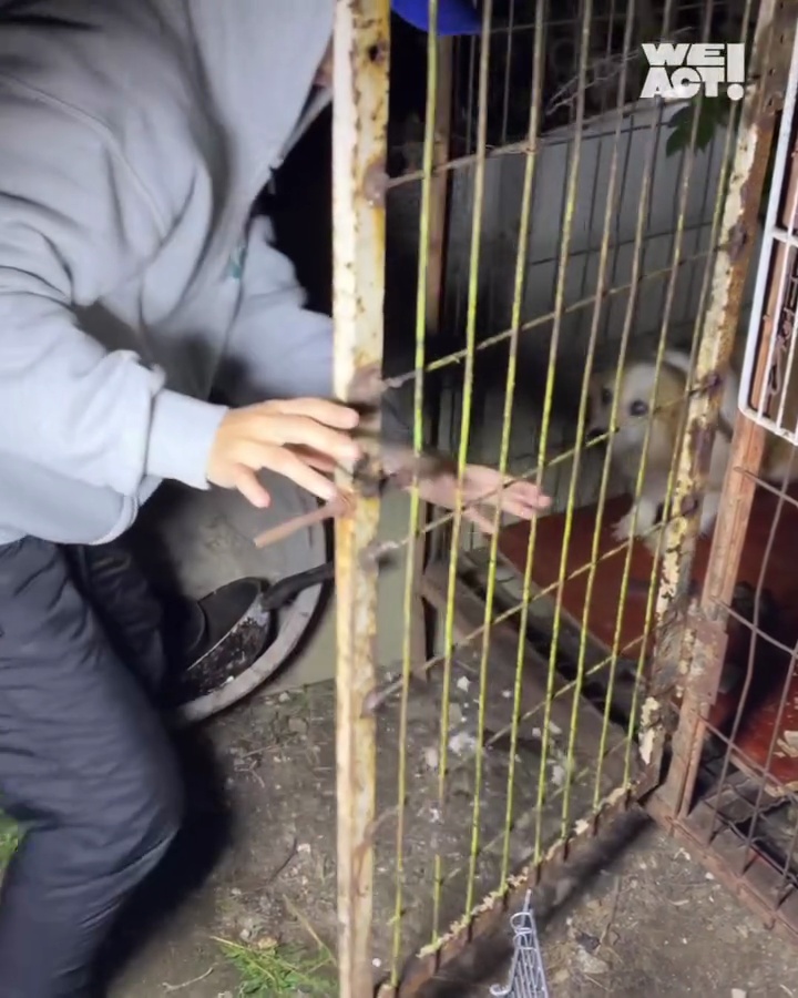 상세 사진 4