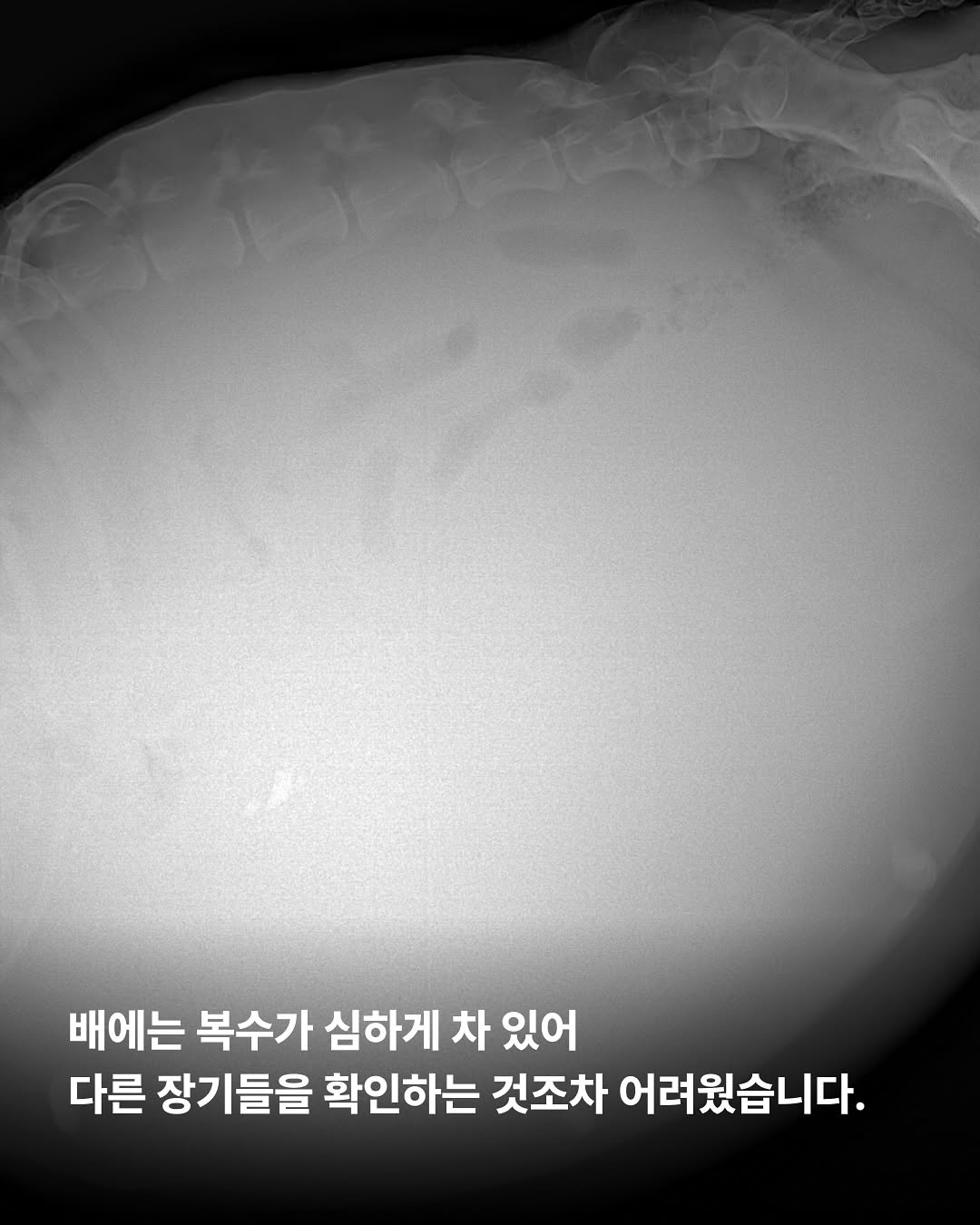 상세 사진 5
