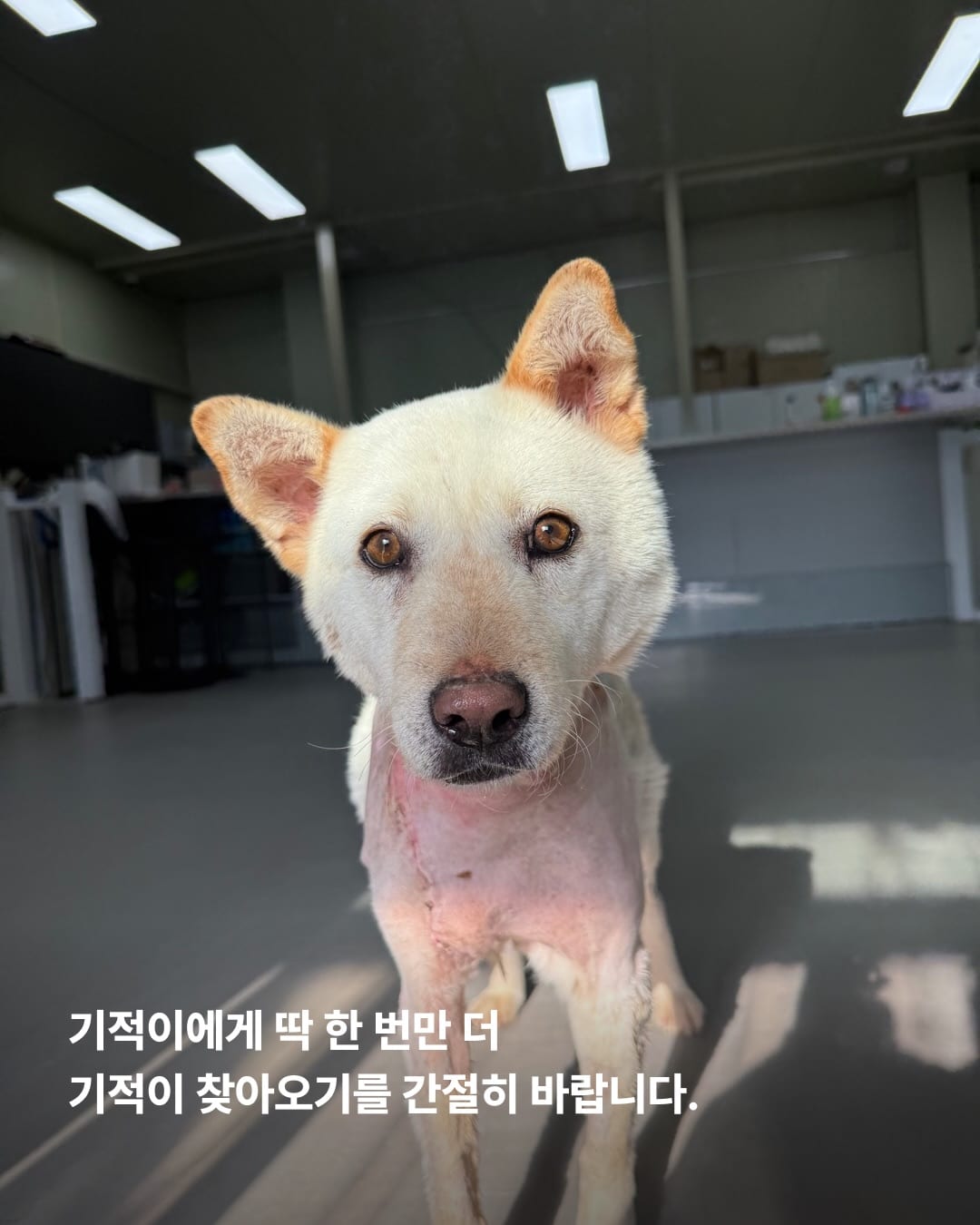 상세 사진 9