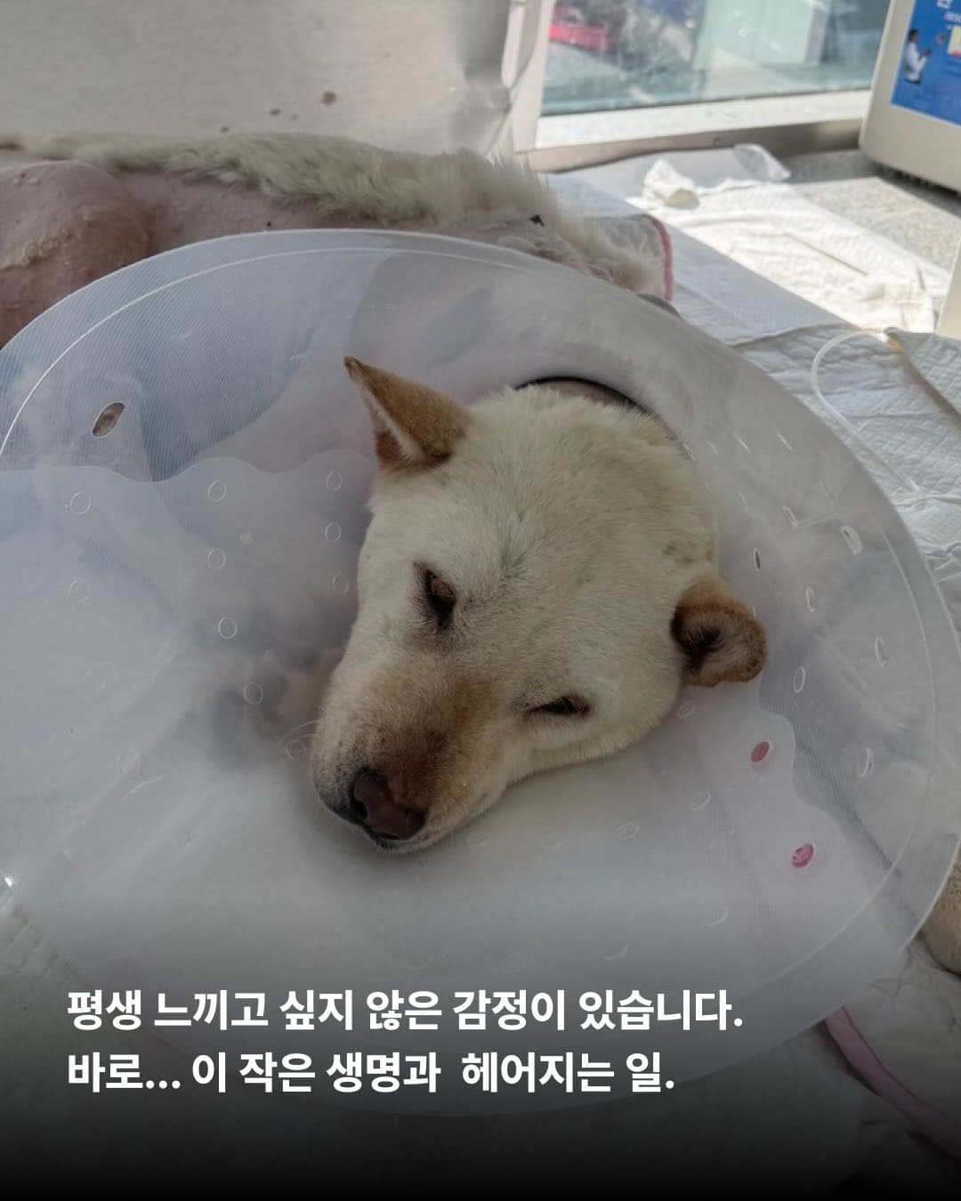 상세 사진 2
