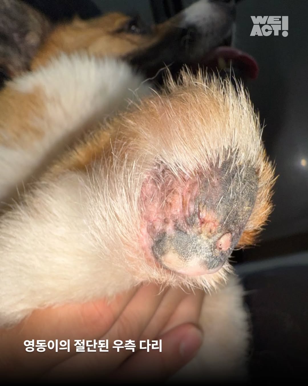 상세 사진 3