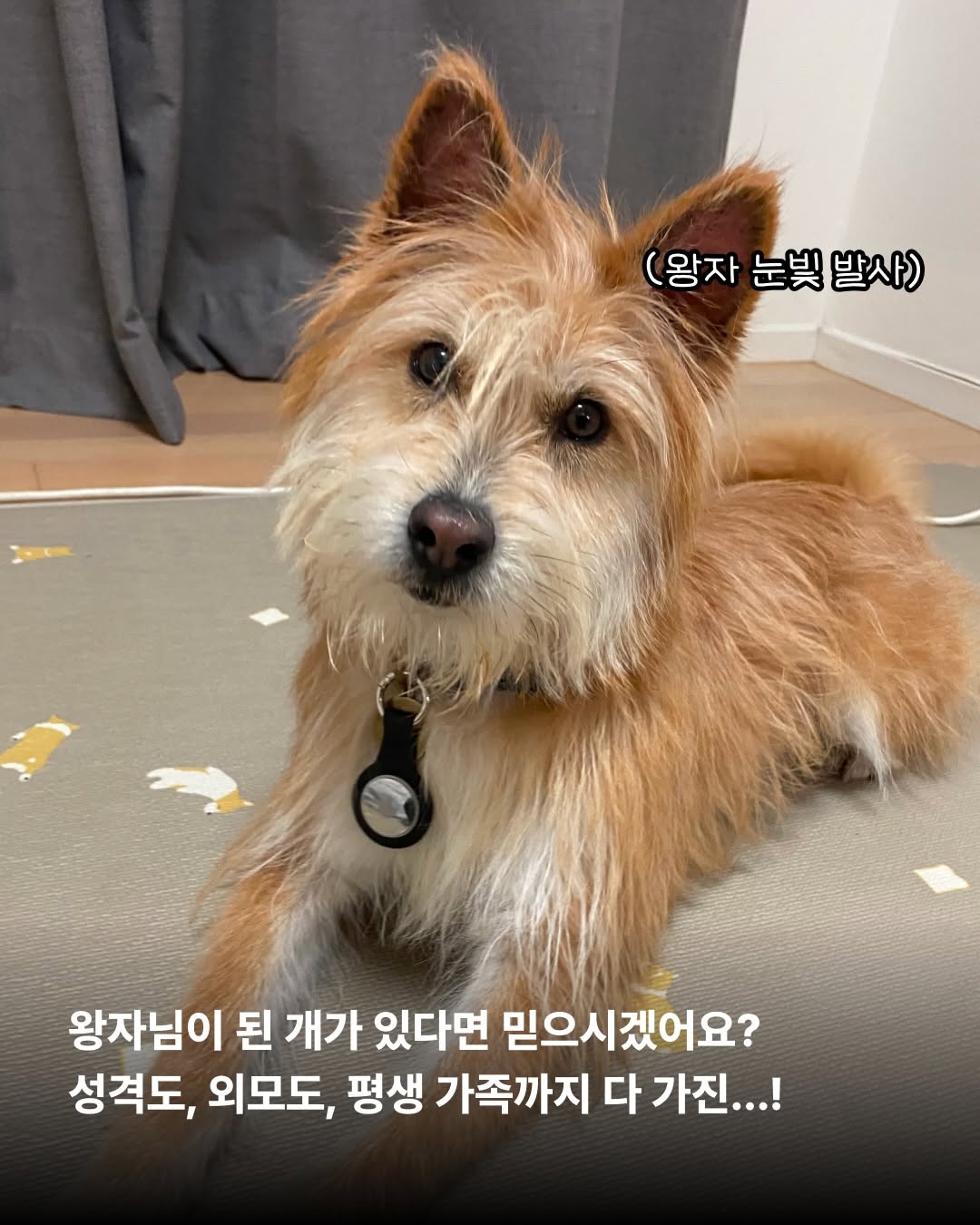 상세 사진 2