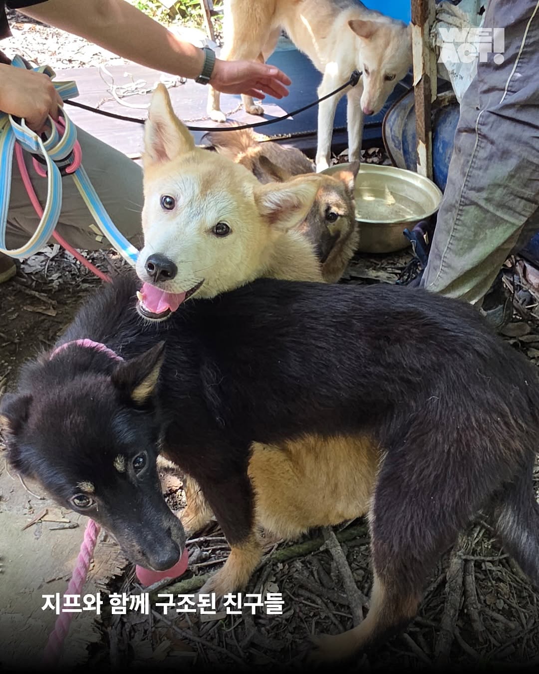 상세 사진 8