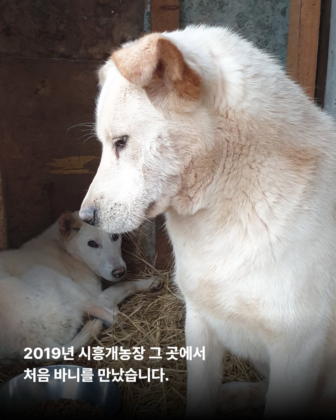 상세 사진 3