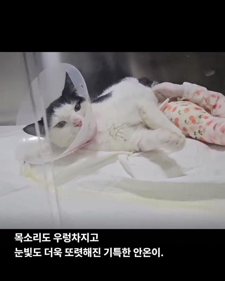 상세 사진 4