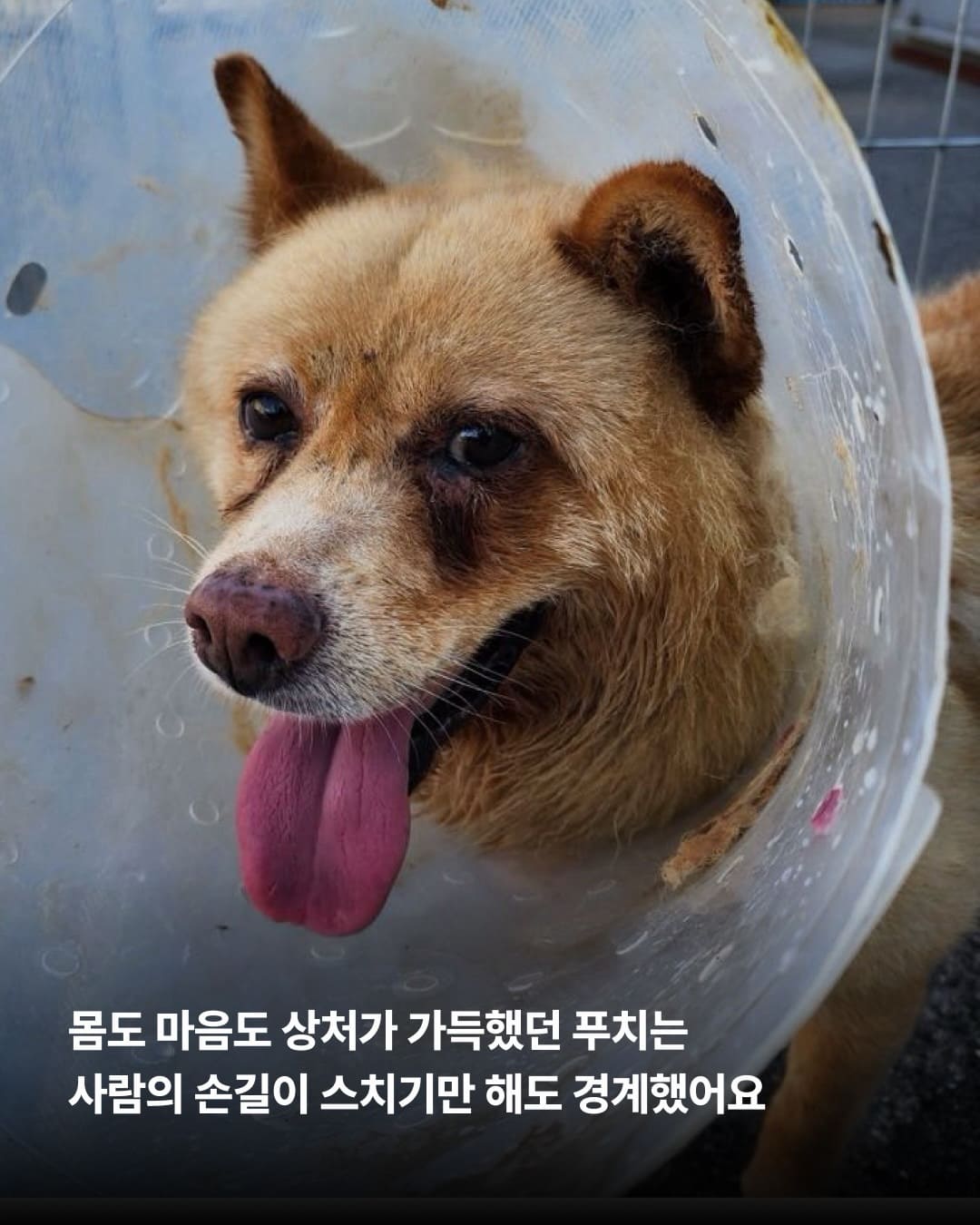 상세 사진 4