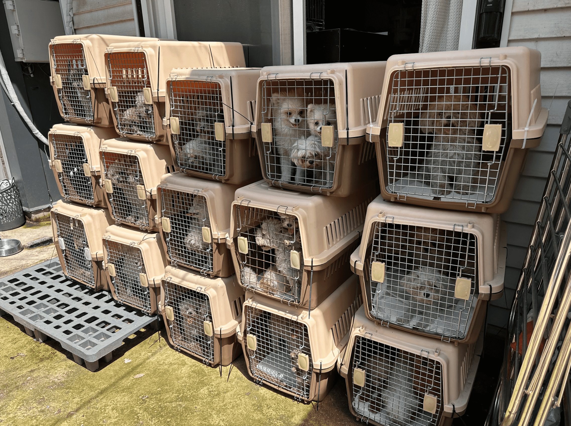 상세 사진 2
