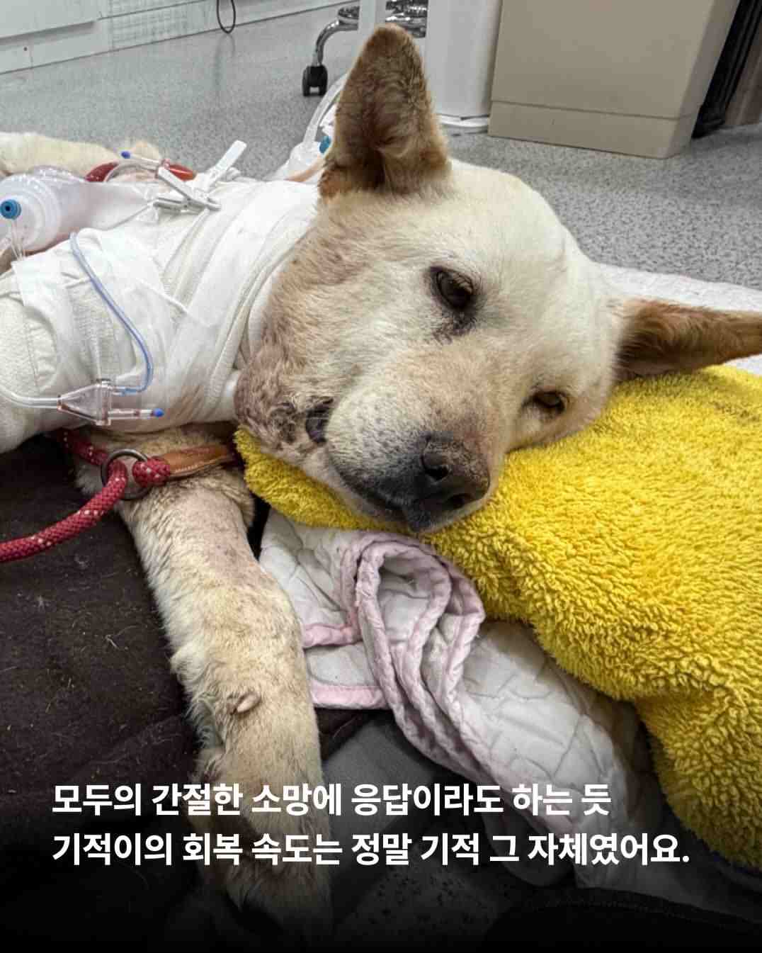 상세 사진 4