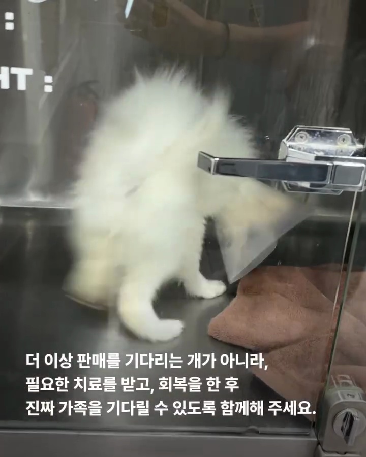 상세 사진 20