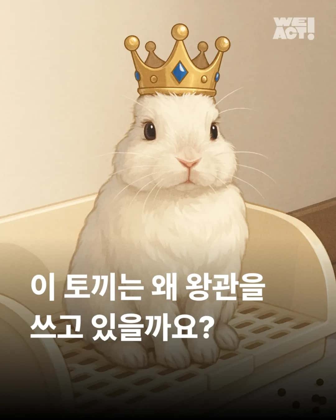상세 사진 1