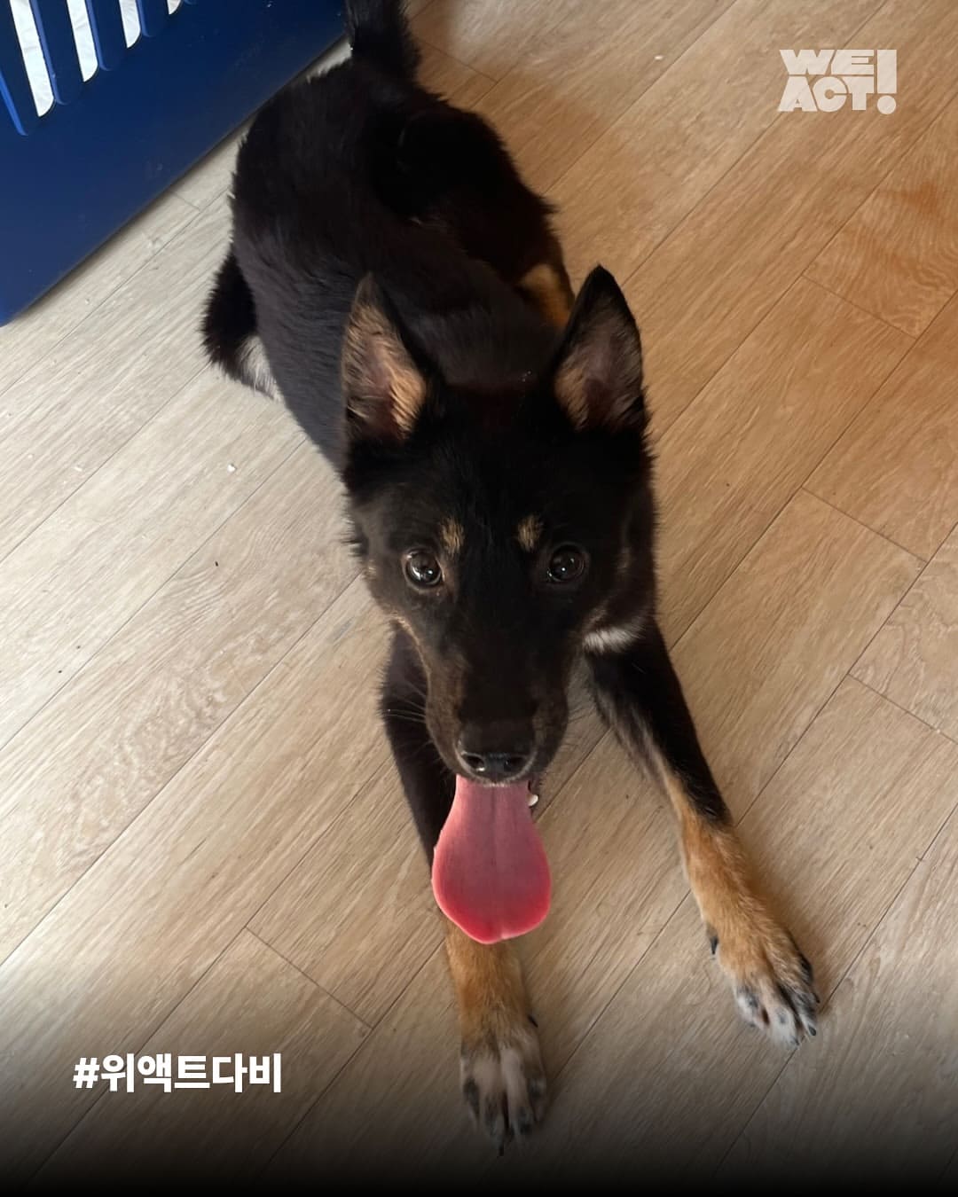 상세 사진 9