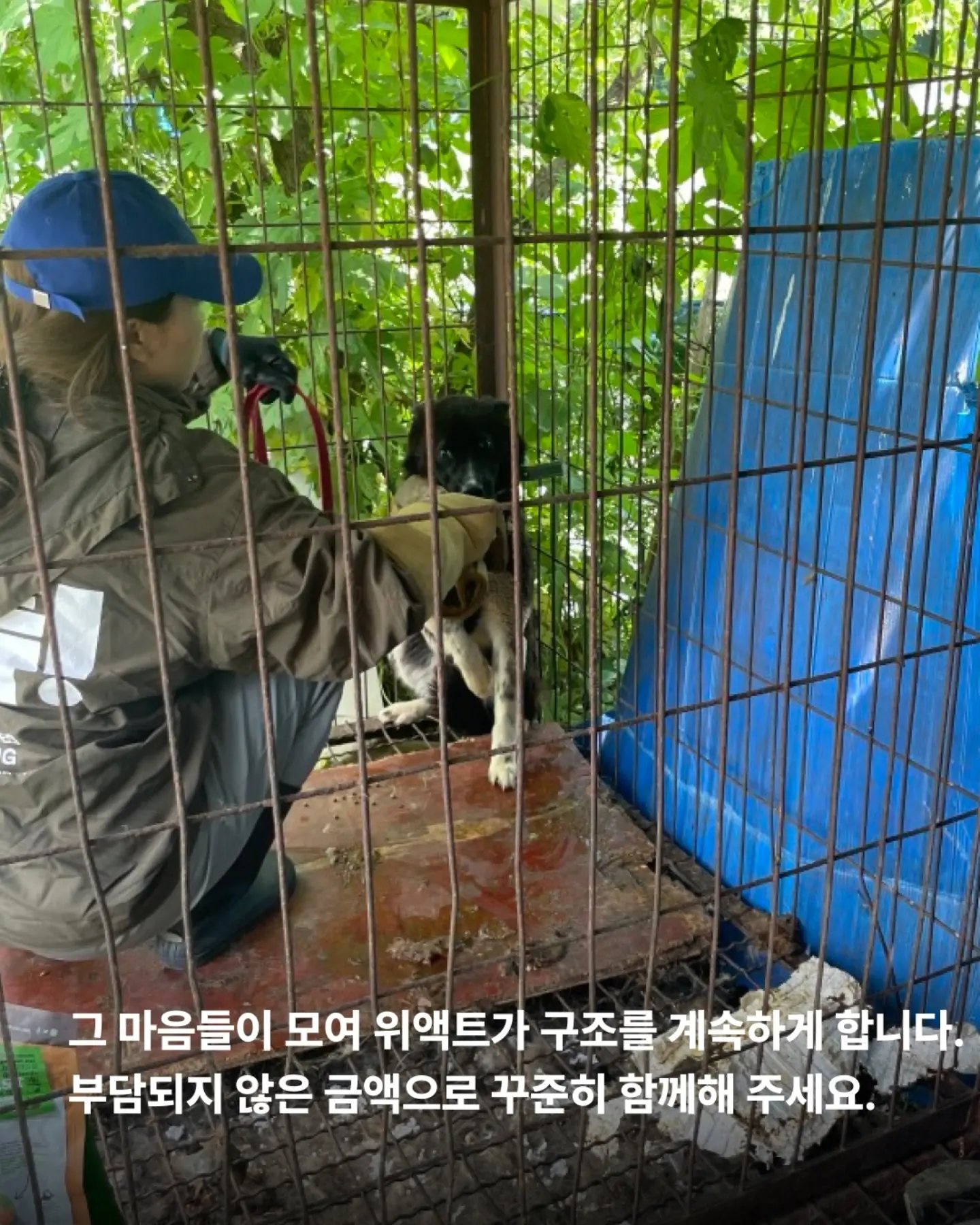 상세 사진 10