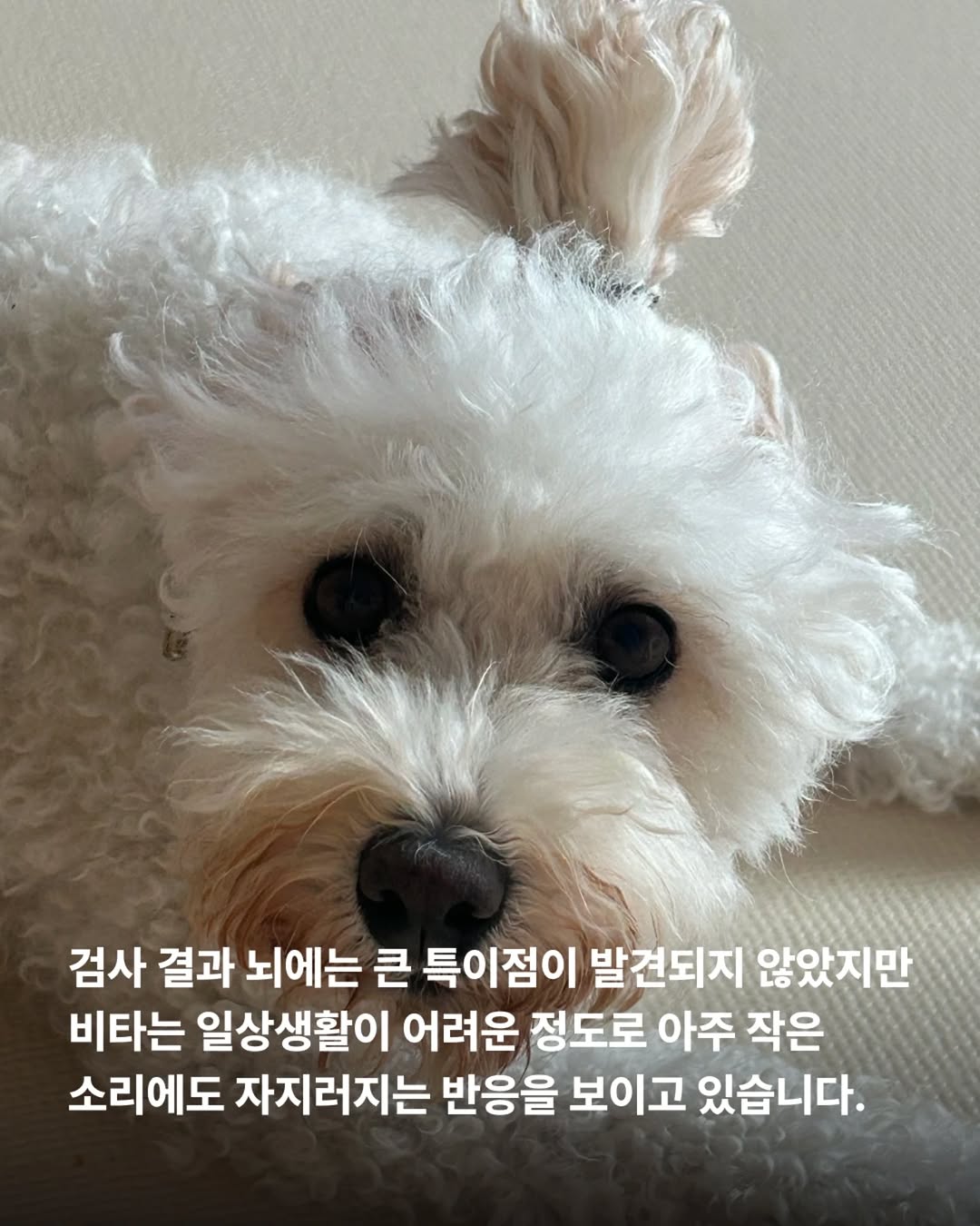 상세 사진 5