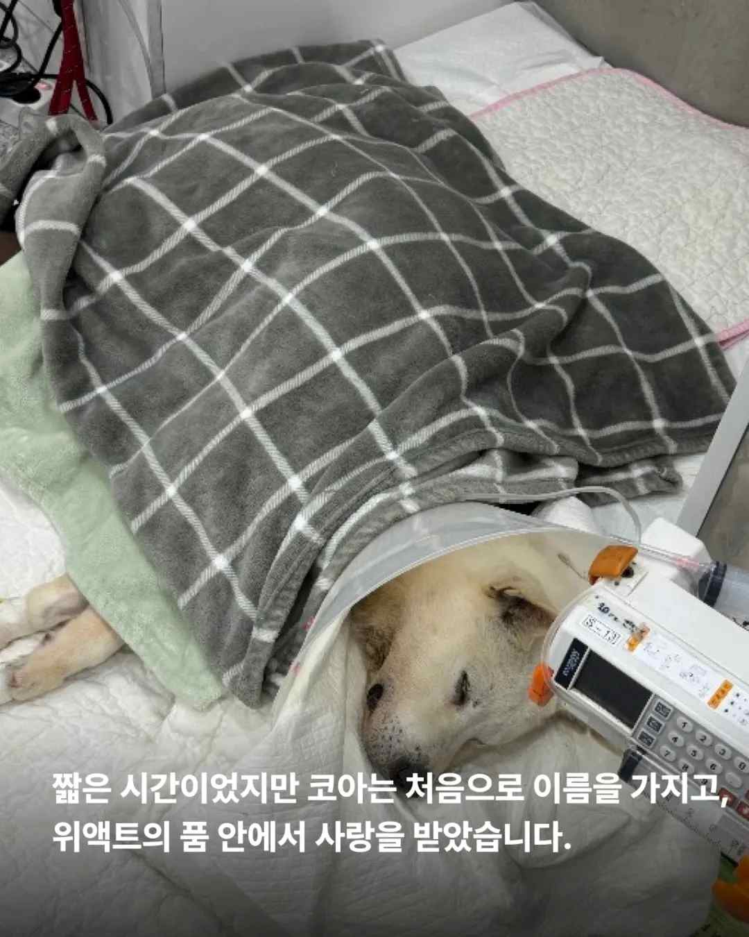 상세 사진 8