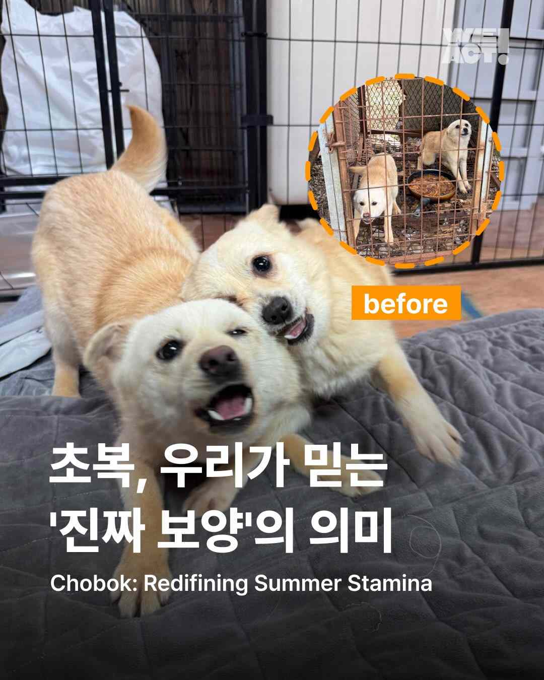 상세 사진 1