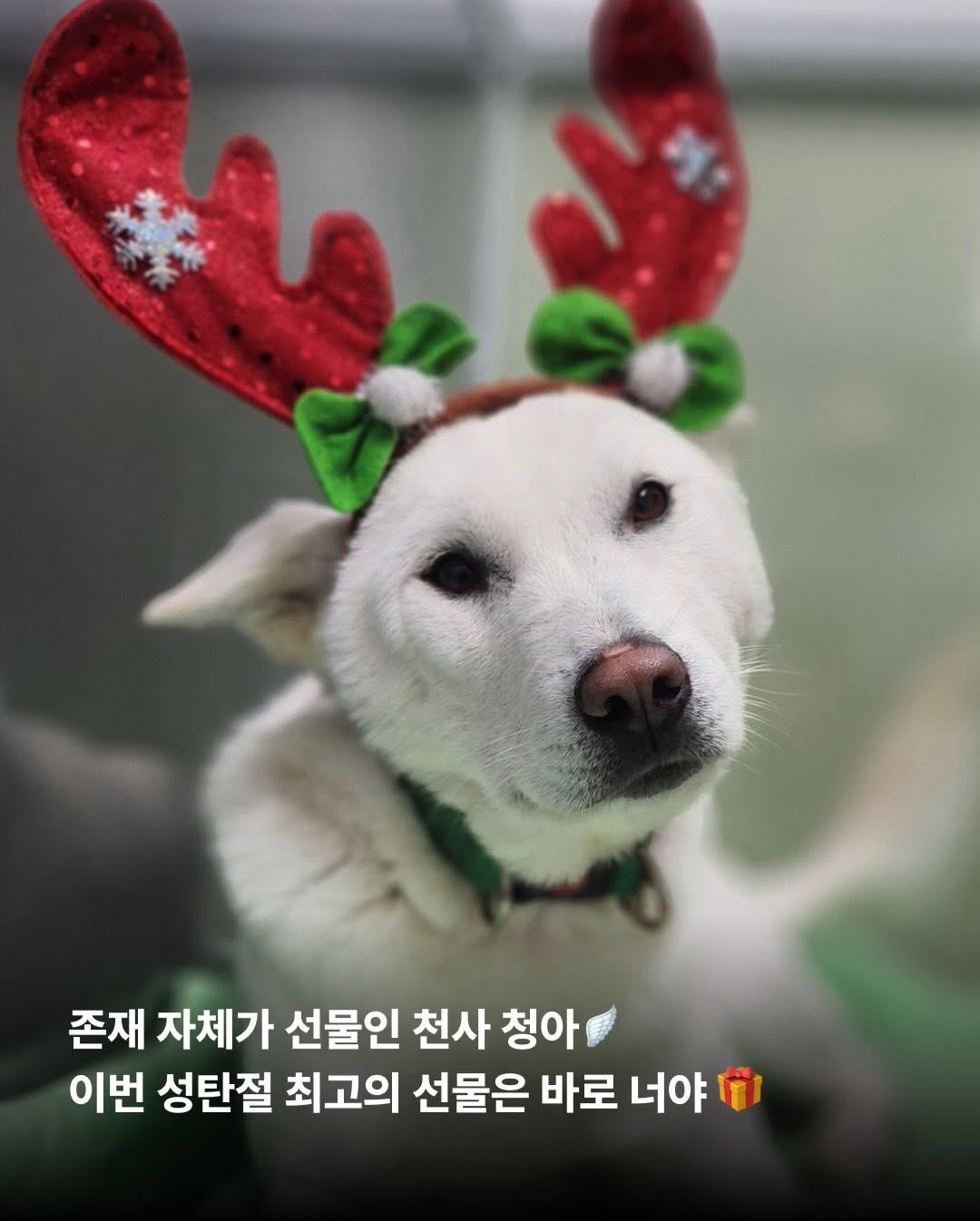 상세 사진 5